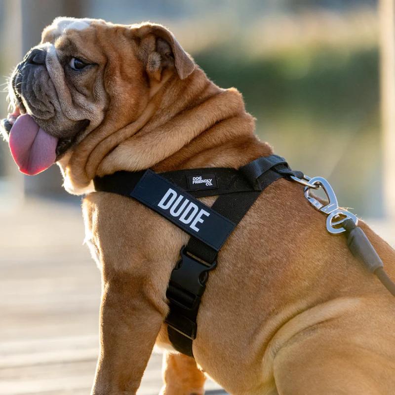 Tloomr Dog Friendly Harness