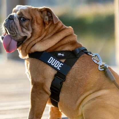 Tloomr Dog Friendly Harness
