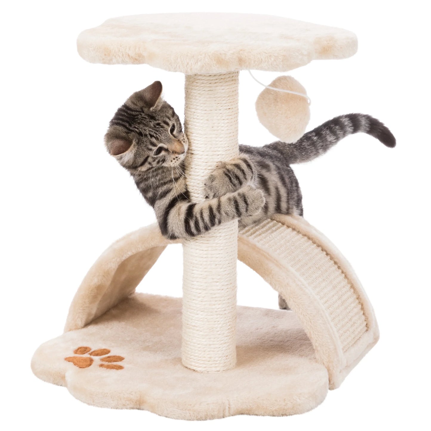 Cat Scratching Post with Platform