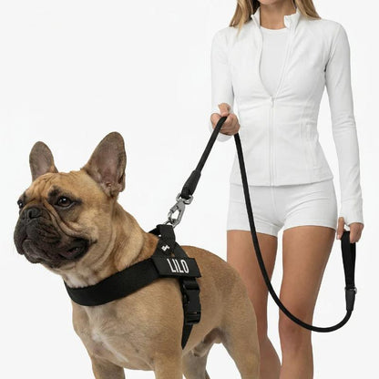 Tloomr Dog Friendly Harness